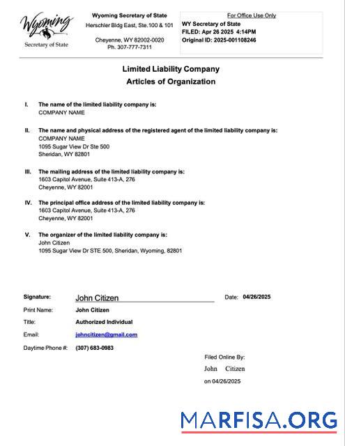 Blank USA Wyoming articles of organization Word and PDF template